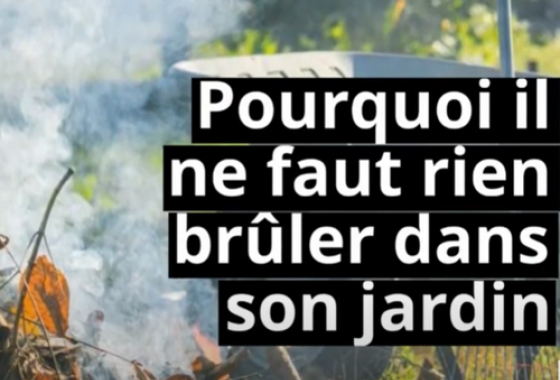 Vidéo : pourquoi il ne faut rien bruler dans son jardin