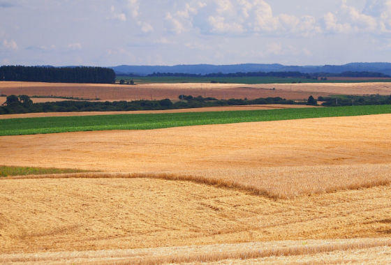 Campagne de pesticides 2023 La Rochelle