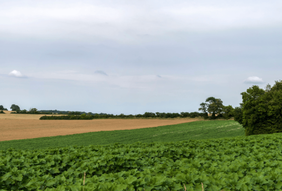 Campagne Nouvelle-Aquitaine