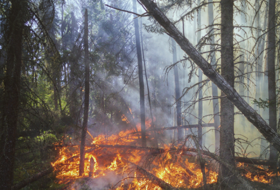 Incendies Luglon (40)