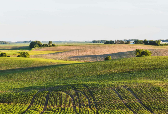 Pesticides dans l'air 