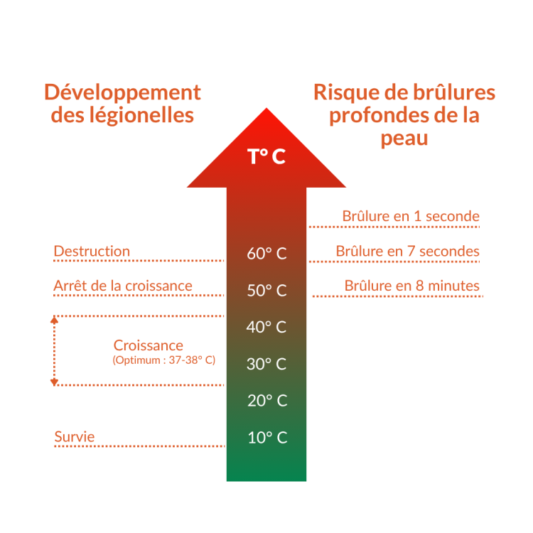 schéma développement légionnelles
