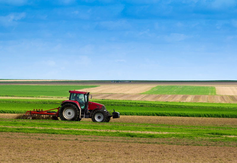 Activités agricoles