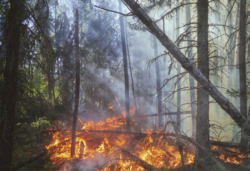 Incendies Luglon (40)