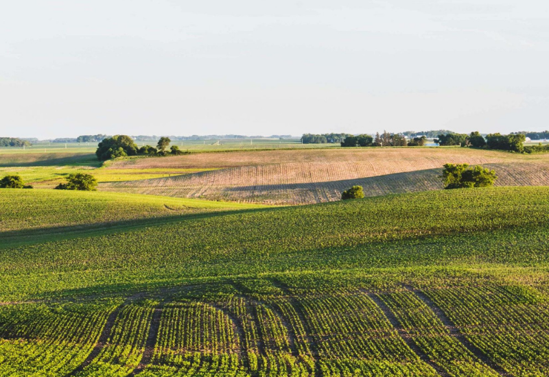 Pesticides dans l'air 