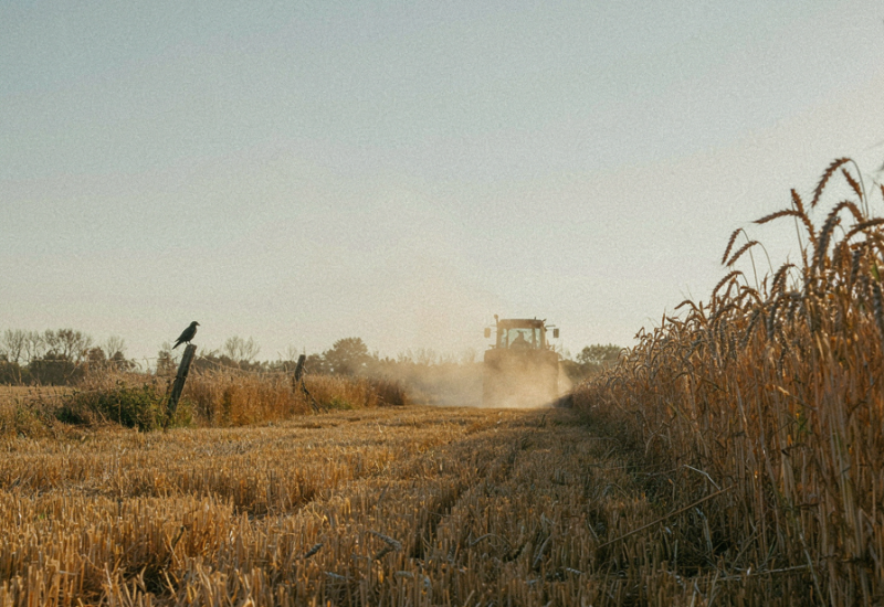 Pratiques agricoles