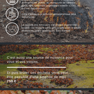 Infographie - Brûler des déchets verts, ça pollue 