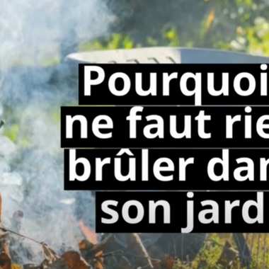 Vidéo : pourquoi il ne faut rien bruler dans son jardin