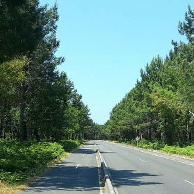 Maremne Adour Côte Sud (40)