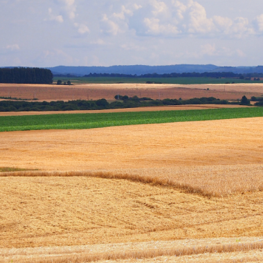 Campagne de pesticides 2023 La Rochelle