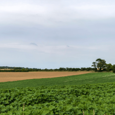 Campagne Nouvelle-Aquitaine