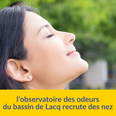 Recrutement de nez sur le bassin de Lacq