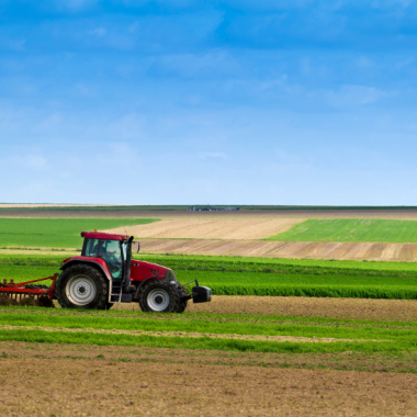 Activités agricoles