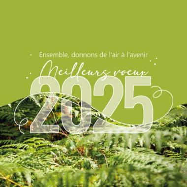 Bonne année 2025