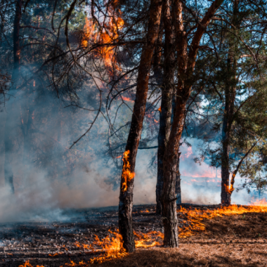Fumée d'incendie
