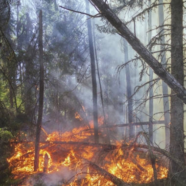 Incendies Luglon (40)